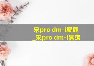 宋pro dm-i麋鹿_宋pro dm-i晃荡